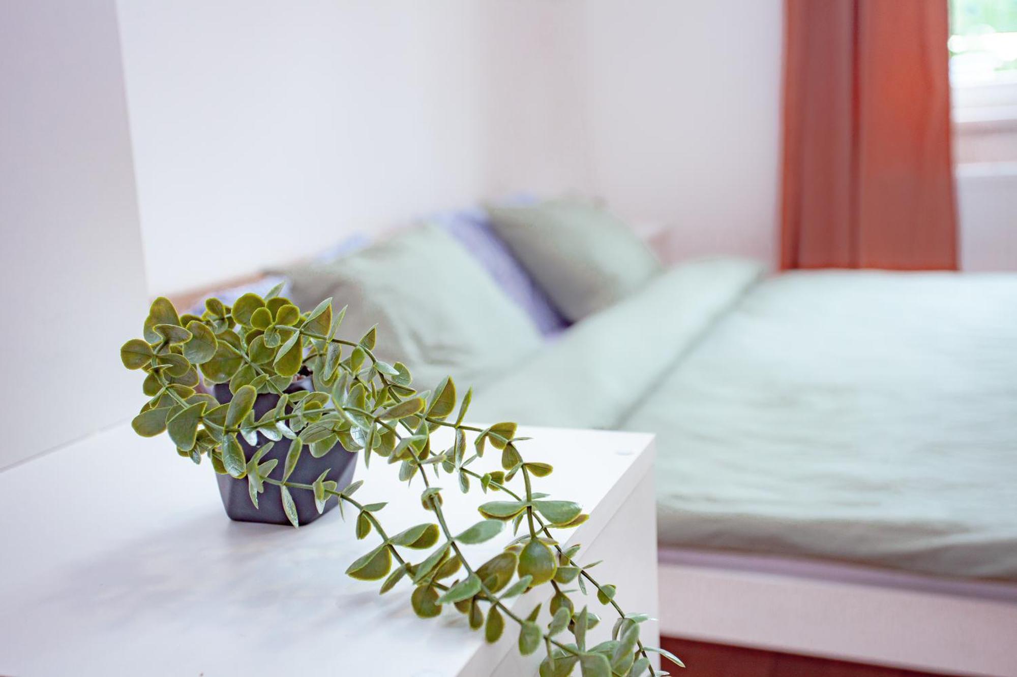 Elegance Apartments 布拉格 外观 照片